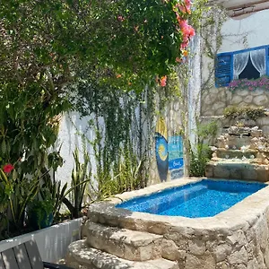 Caribo ** קוזומל